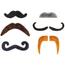 Juego de 6 bigotes falsos autoadhesivos variados ㅤ