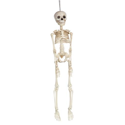 Esqueleto Colgante 45 cm