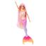 Barbie - Muñeca sirena cambio de color con delfín y accesorios ㅤ