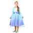 Frozen - Disfraz Infantil Elsa Travel Classic Frozen II 3-4 Años