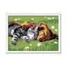 Ravensburger - Gato y perro CreArt