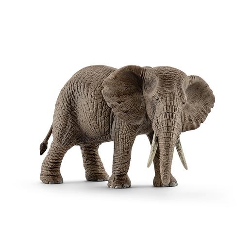 Schleich - Elefante Africano Hembra