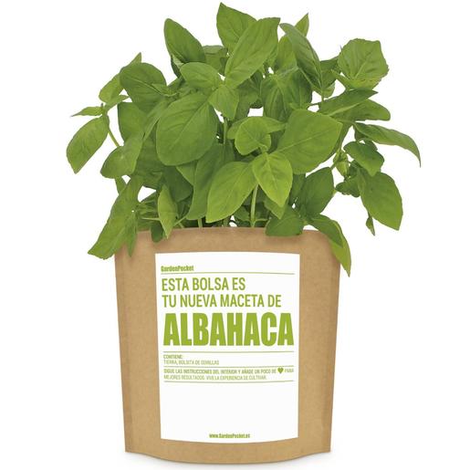 Kit de cultivo de albahaca
