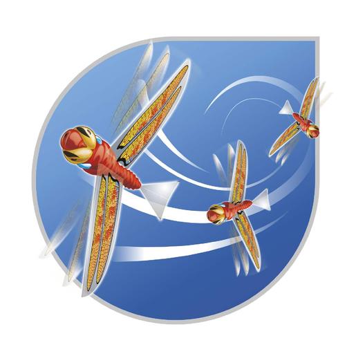 Sun & Sport - Dragonfly