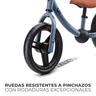 Kinderkraft - Bicicleta de equilíbrio 2Way Next Blue Sky