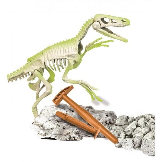 Clementoni - Juego científico de excavación y montaje Velociraptor fosforescente ㅤ