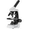 Bresser - Microscopio Junior 40-2000x
