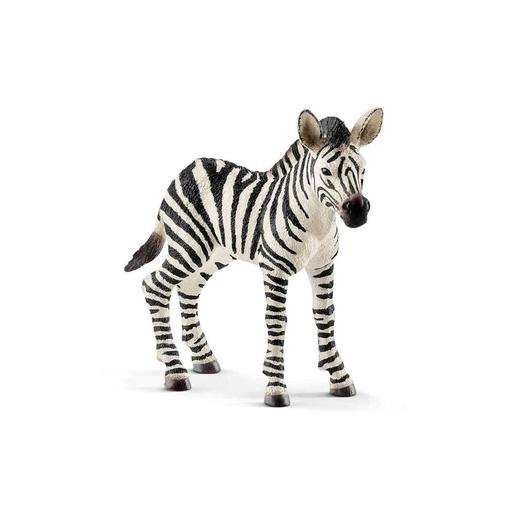 Schleich - Figura de cebra bebé para niños Vida Salvaje ㅤ