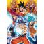 Dragon Ball - Póster de transformaciones de Goku en Dragon Ball 61 x 91.5 cm