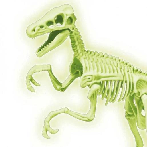 Clementoni - Juego científico de excavación y montaje Velociraptor fosforescente ㅤ