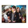 Harry Potter - Puzzle 1000 piezas