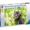 Ravensburger - Puzzle de gatito en el prado, 500 piezas para adultos ㅤ