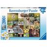 Ravensburger - Puzzle de crías del mundo, 200 piezas XXL ㅤ