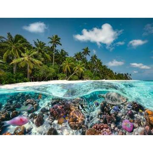 Ravensburger - Puzzle paisaje de las Maldivas, 2000 piezas ㅤ