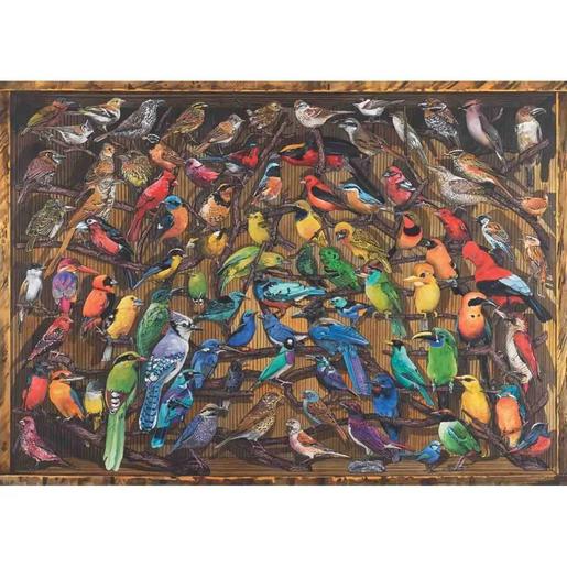 Ravensburger - Arco iris de pájaros: puzzle de 1000 piezas para adultos ㅤ