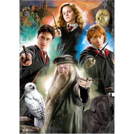 Educa Borras - Harry Potter - Puzzle de 500 Piezas ㅤ