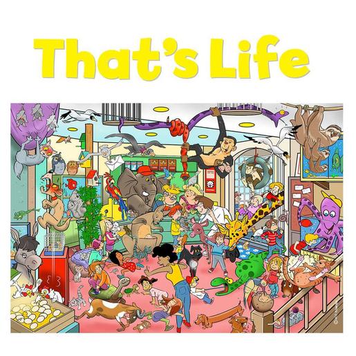 That's Life - Tienda de Mascotas 1000 piezas